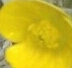 Benutzeravatar